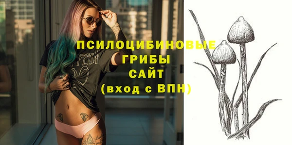 мяу мяу мука Покачи