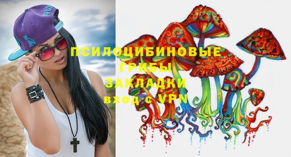 дживик Алзамай