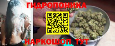 spice Заволжье