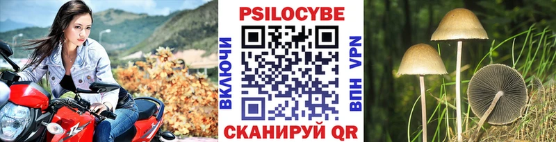 Галлюциногенные грибы Psilocybine cubensis  Светлоград 