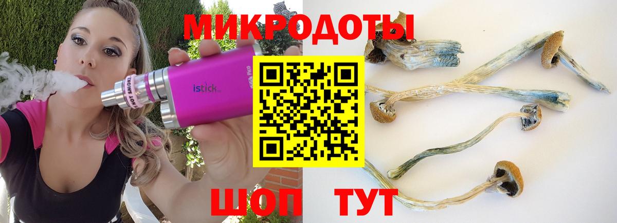 Псилоцибиновые грибы Psilocybine cubensis Светлоград