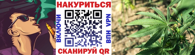 Шишки марихуана гибрид  что такое наркотик  Светлоград 