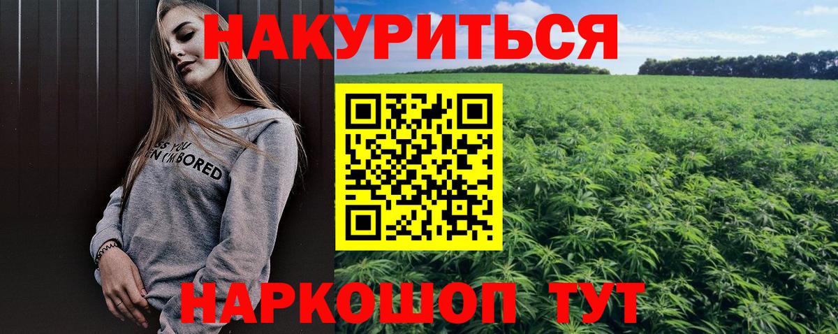 Каннабис семена  Вход с VPN  Канабис индика  Светлоград  Бошки марихуана семена 